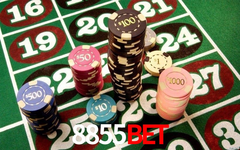 Interface Premium 8855bet